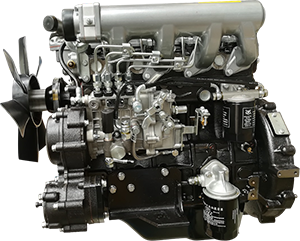 Двигатель в сборе C490BPG